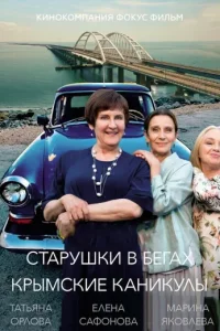 Старушки в бегах 3 сезон